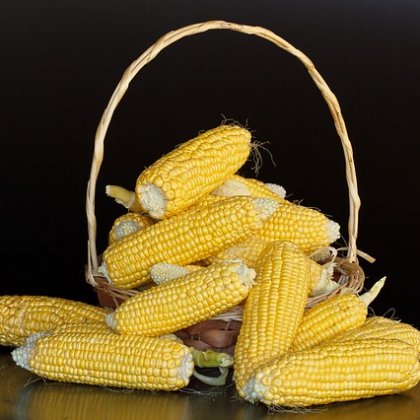 सफेद स्थानीय