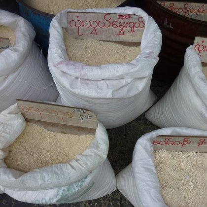 धान दप्पा