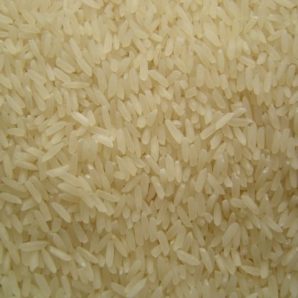 बासमती (गुलाब)