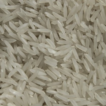 CJ-43 (Medium) Boiled