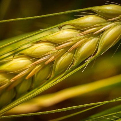 147 का औसत