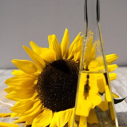 सूरजमुखी