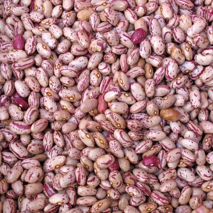 सामान्य प्रश्न (संपूर्ण)