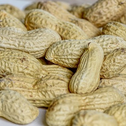 मूंगफली / मूंगफली (मूंग फली)