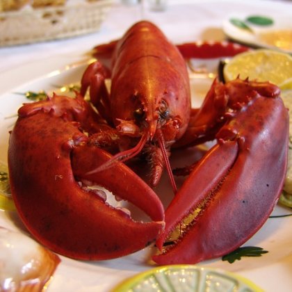 लॉबस्टर और केकड़े