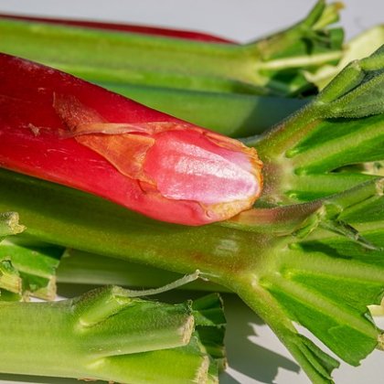 रूबर्ब(हरि पियाज)