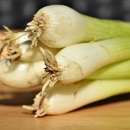हरा प्याज