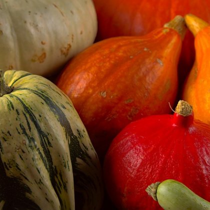 स्क्वाश