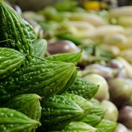 कड़वा तरबूज