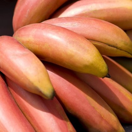 लाल केले