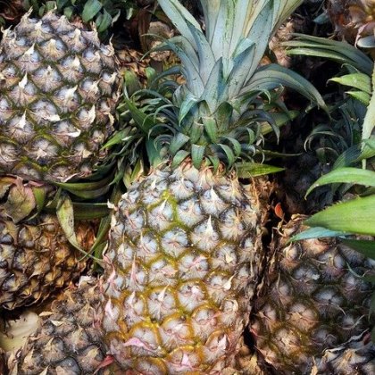 अनानास