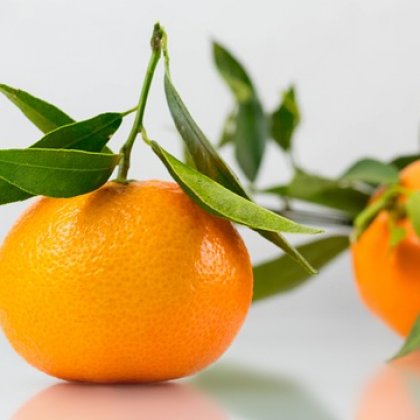 क्लेमेंटाइन