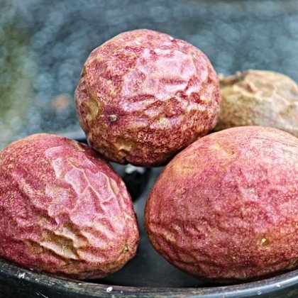 जूनून का फल