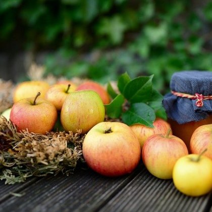 मैकिंटोश