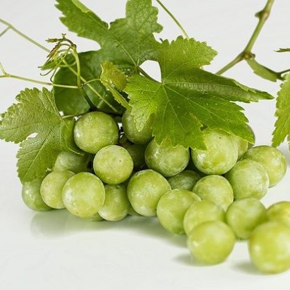 कैलमेरिया (हरा, बीजयुक्त)