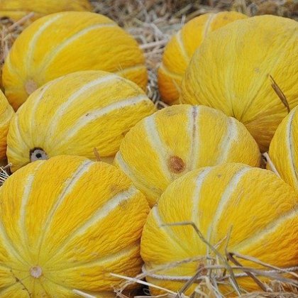 क्रेंशव