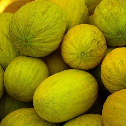 खरबूज़ा