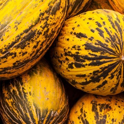 सांता क्लॉज़