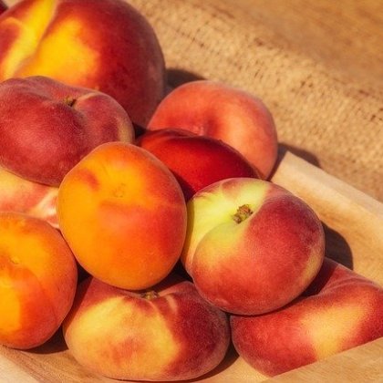 नेक्टराइन्स, पीचिस, खुबानी