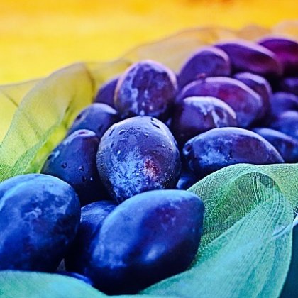 कांट - छांट