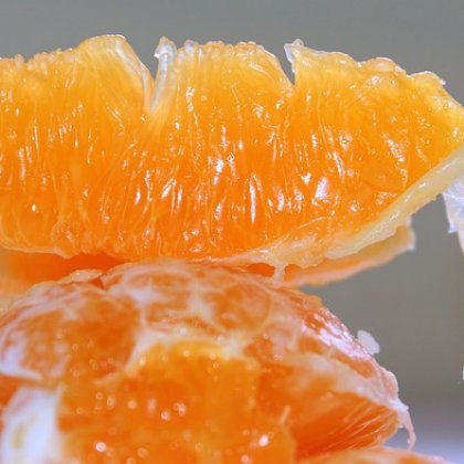 फलों का गूदा