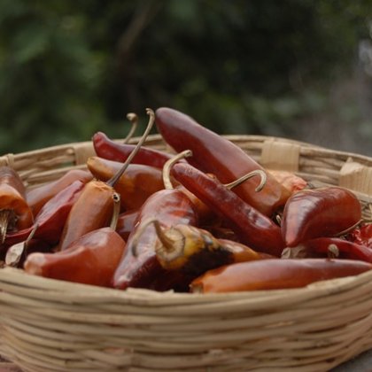 स्थानीय