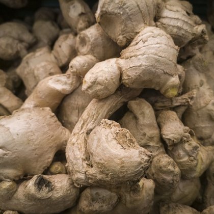 ताजा खुला हुआ