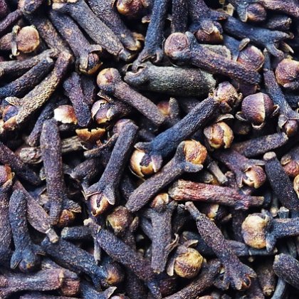 लौंग (लंबा)